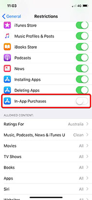 Restrictions to in-app purchases function