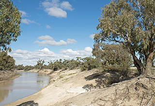Murray river and banks of the river with trees